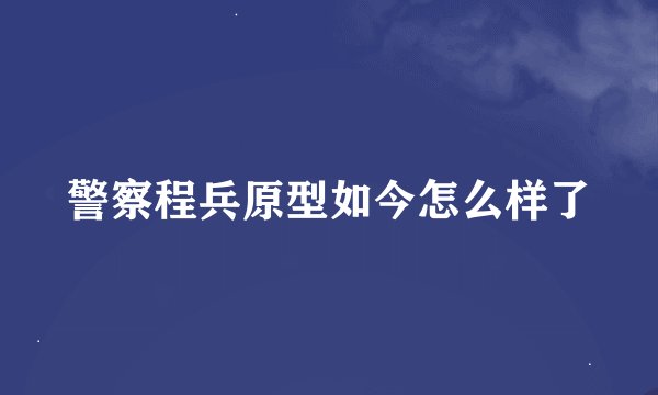 警察程兵原型如今怎么样了