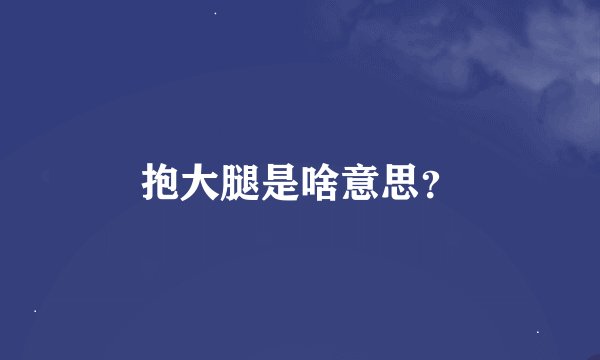 抱大腿是啥意思？