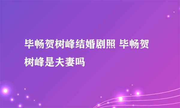 毕畅贺树峰结婚剧照 毕畅贺树峰是夫妻吗