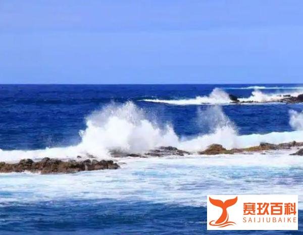 2025香港移民攻略:没学历没投资可通过高才通计划专才计划落户香港