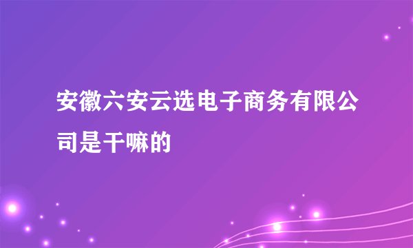 安徽六安云选电子商务有限公司是干嘛的