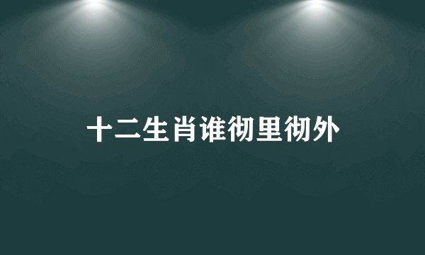 十二生肖谁彻里彻外