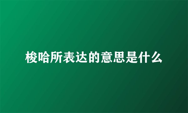 梭哈所表达的意思是什么