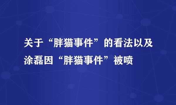 关于“胖猫事件”的看法以及涂磊因“胖猫事件”被喷