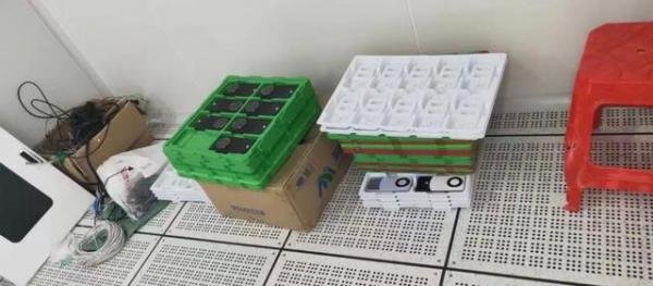 华为Mate60真机曝光，发布时间也定了