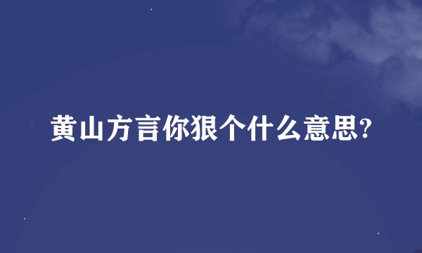 黄山方言你狠个什么意思?