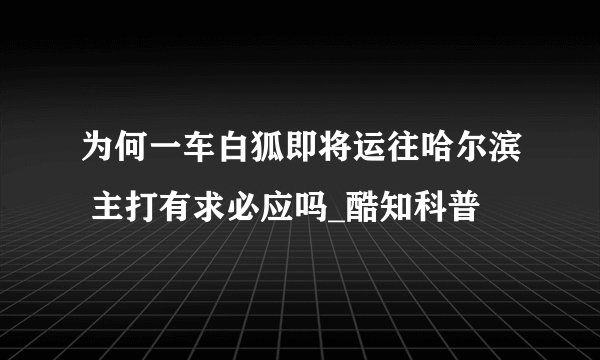 为何一车白狐即将运往哈尔滨 主打有求必应吗_酷知科普