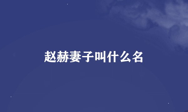 赵赫妻子叫什么名