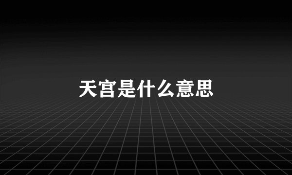 天宫是什么意思