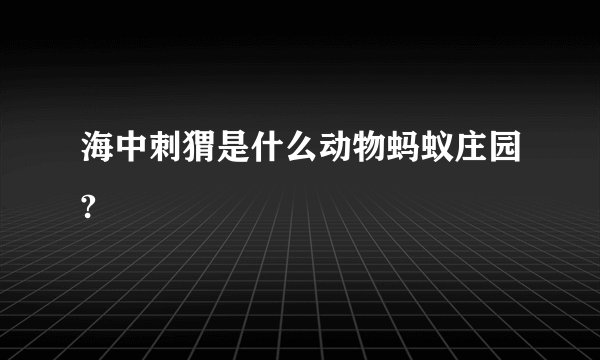海中刺猬是什么动物蚂蚁庄园?