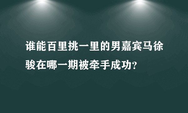 谁能百里挑一里的男嘉宾马徐骏在哪一期被牵手成功？