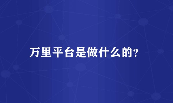 万里平台是做什么的？