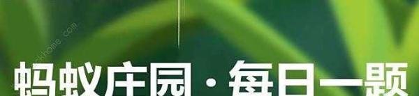 蚂蚁庄园白居易曾用绿蚁新醅酒红泥小火炉待客