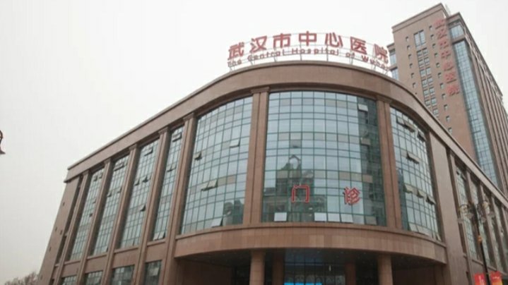 蔡莉不再担任武汉市中心医院党委书记,她做了什么事?
