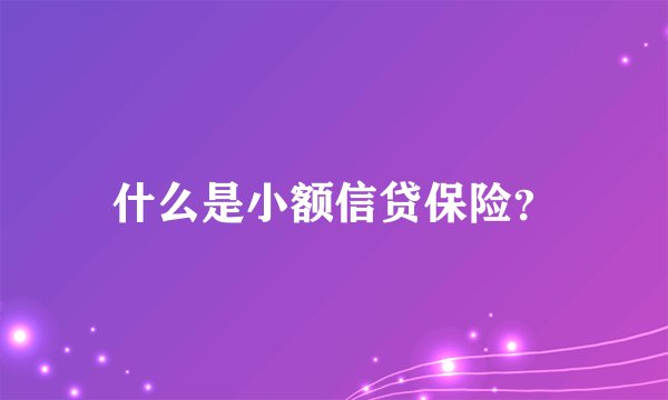 什么是小额信贷保险？