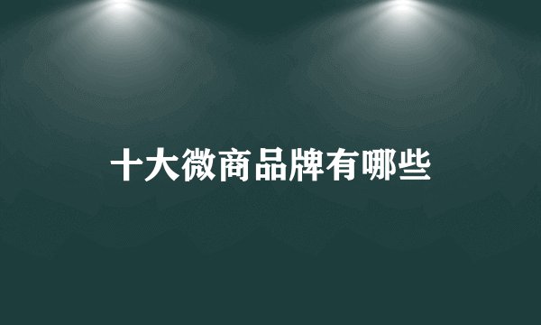 十大微商品牌有哪些