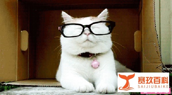 2017注会（CPA）成绩查询入口