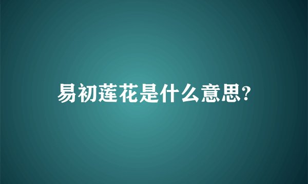 易初莲花是什么意思?