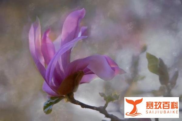 国美通报员工上班“摸鱼”背后,管理手段粗暴业绩还在亏