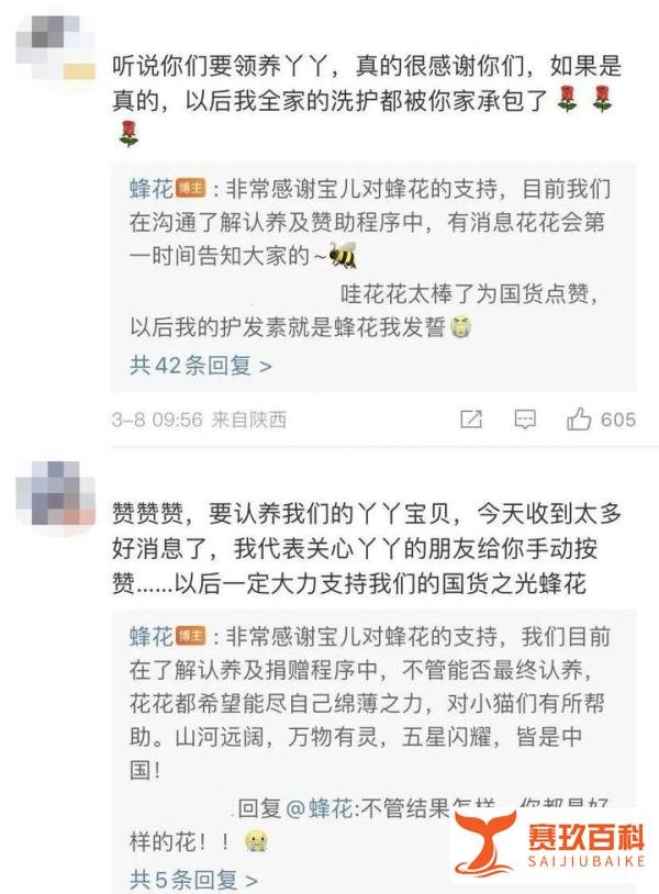 欲认养大熊猫丫丫？“国货之光”蜂花品牌人设又立住了！