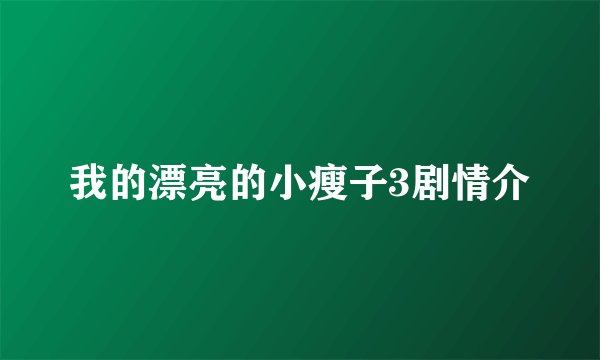 我的漂亮的小瘦子3剧情介