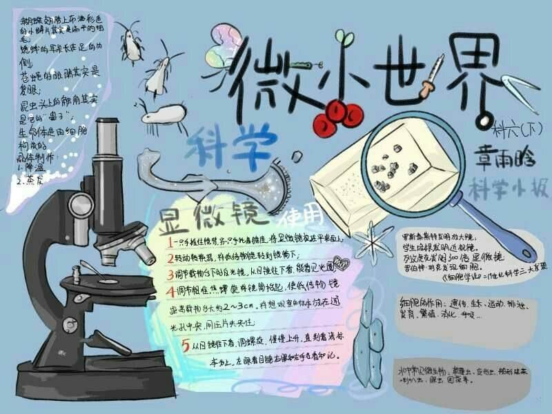 微小世界手抄报