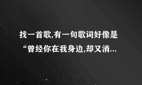 找一首歌,有一句歌词好像是“曾经你在我身边,却又消失不见”。。
