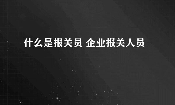 什么是报关员 企业报关人员