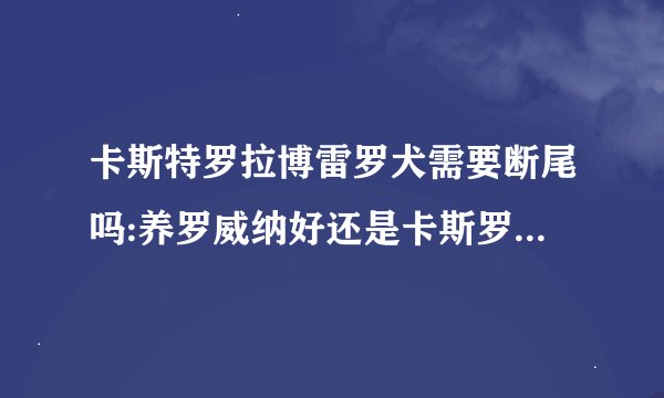卡斯特罗拉博雷罗犬需要断尾吗:养罗威纳好还是卡斯罗或者杜宾好，这三只狗哪只最危险？