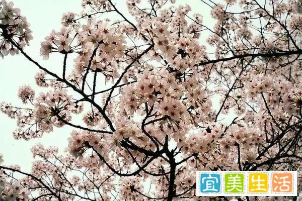 “北大屠夫”被嘲20年还在卖猪肉:读书无用,打了谁的脸?