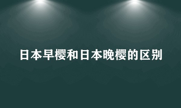 日本早樱和日本晚樱的区别