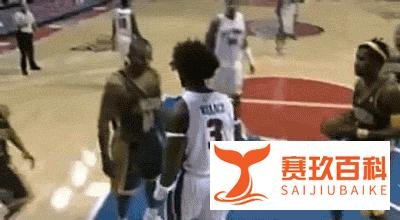 NBA最黑暗之夜!奥本山宫殿事件始末:一拳改变NBA历史走向
