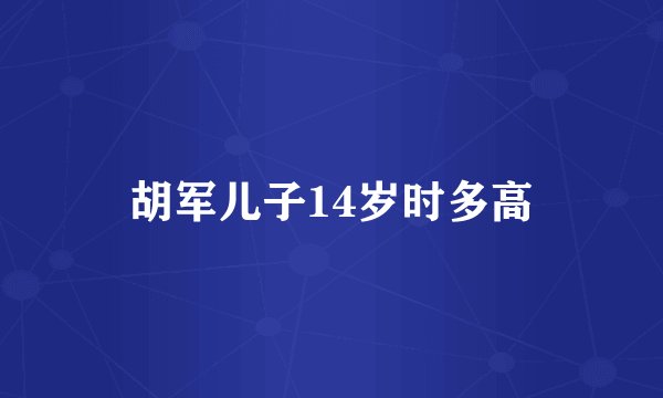胡军儿子14岁时多高