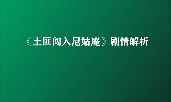 《土匪闯入尼姑庵》剧情解析