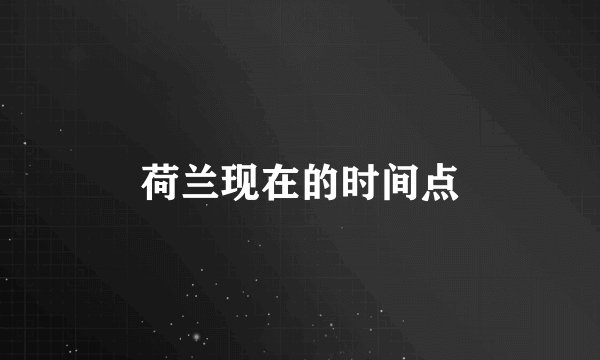荷兰现在的时间点