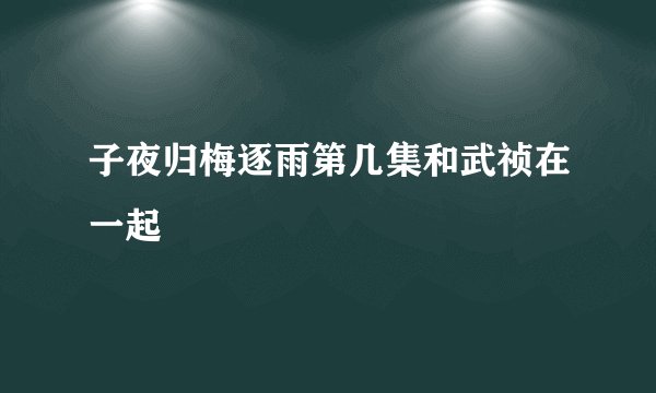 子夜归梅逐雨第几集和武祯在一起
