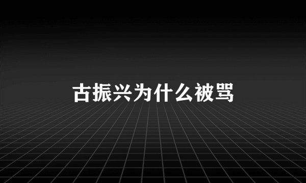 古振兴为什么被骂