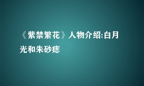 《紫禁繁花》人物介绍:白月光和朱砂痣