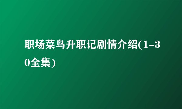 职场菜鸟升职记剧情介绍(1-30全集)