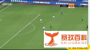 半场-泰达0-1国安，阿兰建功，朴成伤退