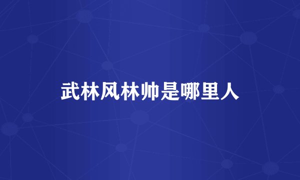 武林风林帅是哪里人
