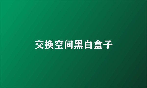 交换空间黑白盒子