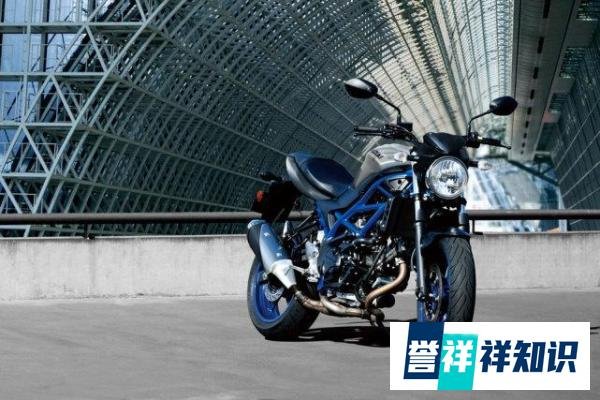 8.58万起!“蒙面超人”铃木SV650国内上市