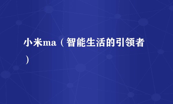 小米ma（智能生活的引领者）