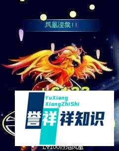 奥拉星烈焰凤凰怎么打