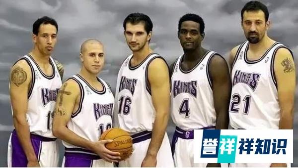 「NBA镀金年代」斯拉夫巨人—弗拉德·迪瓦茨Vlade·Divac