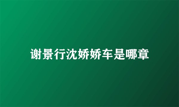 谢景行沈娇娇车是哪章