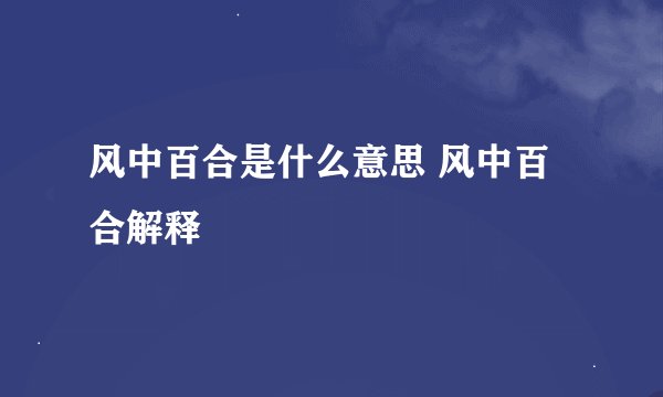 风中百合是什么意思 风中百合解释