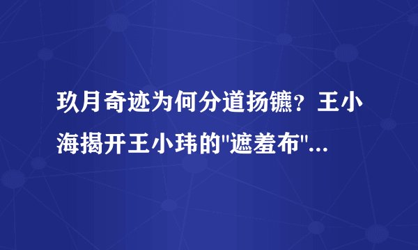 玖月奇迹为何分道扬镳?王小海揭开王小玮的
