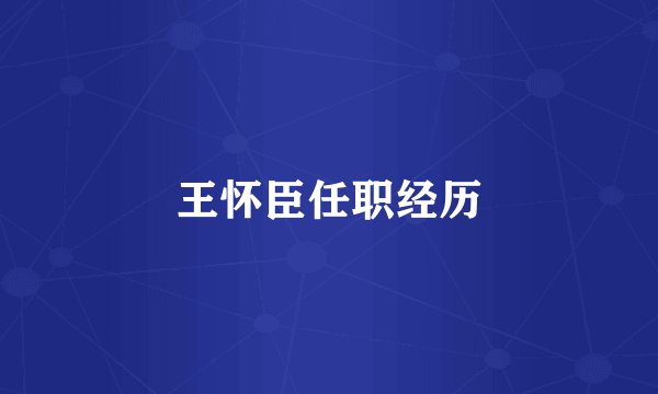 王怀臣任职经历